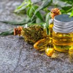 THCA Flower Freshness And Texture Supporting A Better Buying Experience