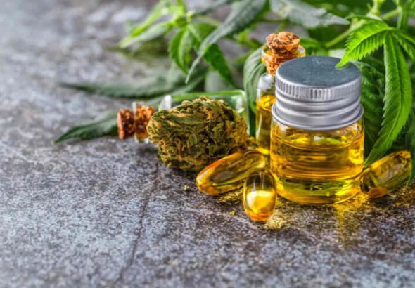 THCA Flower Freshness And Texture Supporting A Better Buying Experience