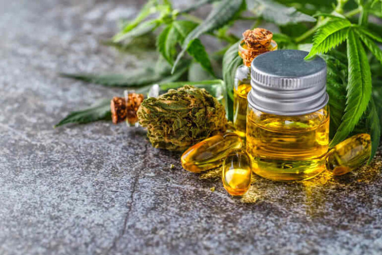 THCA Flower Freshness And Texture Supporting A Better Buying Experience